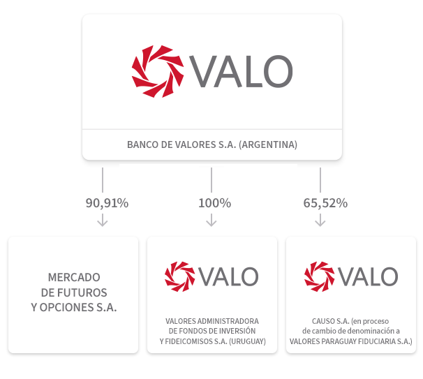VALO (Banco de Valores S.A.) posee el 90,91% de Mercado de Futuros y Opciones S.A., el 100% de Valores AFIYFSA (Uruguay), y el 65,52% de Causo S.A. (en proceso de cambio de denominación a “Valores Paraguay Fiduciaria S.A. VALOPY S.A.”) (Paraguay).